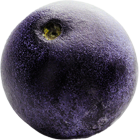 Açaí fruto